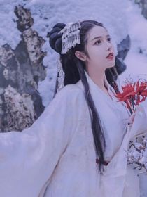 军师联盟曹真之妻