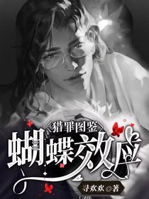 猎罪图鉴：蝴蝶效应