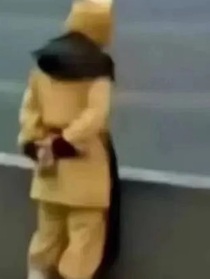 思迎春花