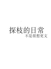 探枝的电子日常