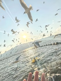 短篇随笔小说合集