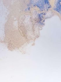 校园里的侦探团