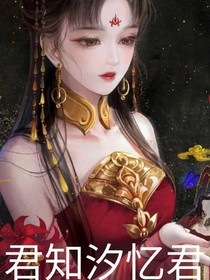君知汐忆君