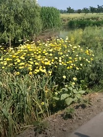 重生逆天人生变大女主