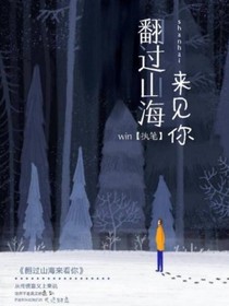 翻过山海来见你