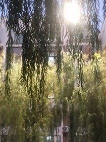 戏影烽烟