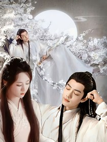 综影视：星河恋无双