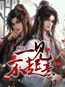 一见不起意