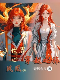 小世界之凤凰的穿越之旅