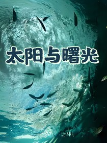 太阳与曙光