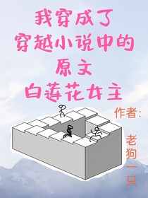 我穿成了穿越小说中的原文白莲花女主