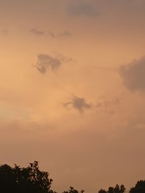 爔