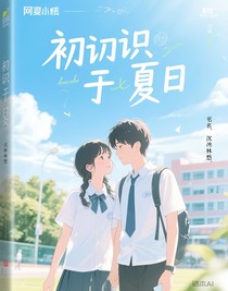 初识于夏季