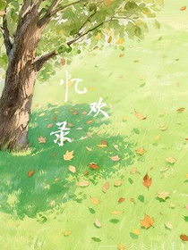 忆欢录