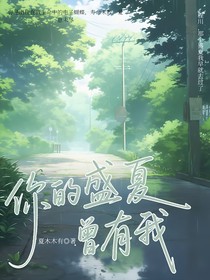 你的盛夏曾有我