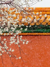 宁安如梦：浓香吟