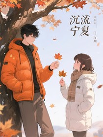 沉流宁夏