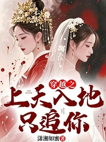 穿越之上天入地只追你1