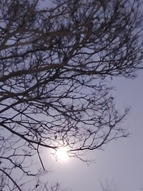 以月之铭二