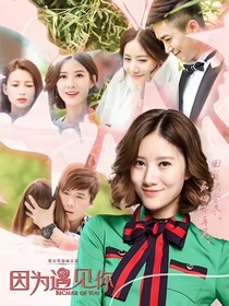 因为遇见你之又遇见你